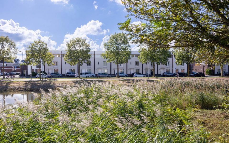 Libelsingel 69 <br> <small>2492 RC Den Haag </small>