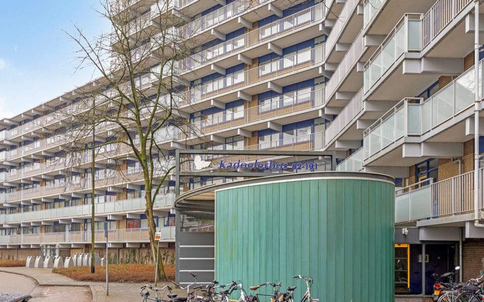 Kadoelerbos 104 <br> <small>2715 SC Zoetermeer </small>